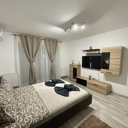 Ddm Brasov